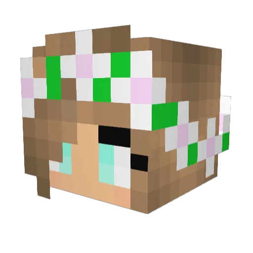 poopy_ Minecraft avatar head, 3D render
