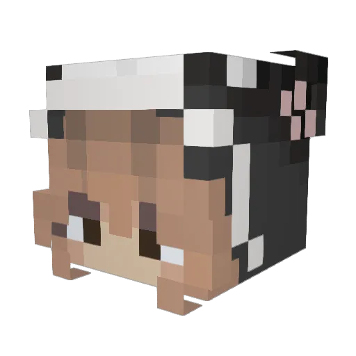poopychimken Minecraft avatar head, 3D render