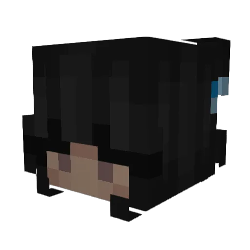 poopygnat Minecraft avatar head, 3D render