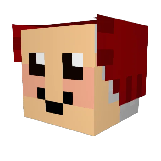 poopyhurt Minecraft avatar head, 3D render