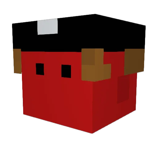 poopyjames420 Minecraft avatar head, 3D render