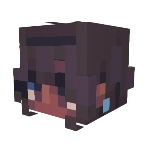 poorbastard Minecraft avatar head, 3D render