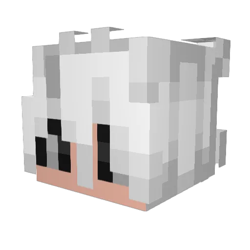 pooriAKhatar Minecraft avatar head, 3D render