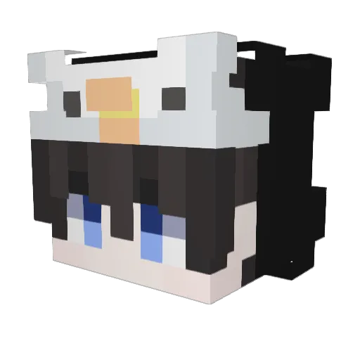 poorpenguin11 Minecraft avatar head, 3D render