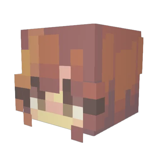 pootnoots Minecraft avatar head, 3D render