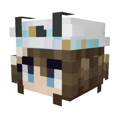 poowolfx Minecraft avatar head, 3D render