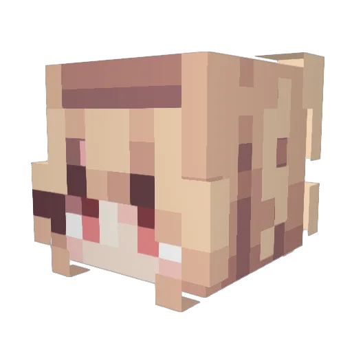 pop_p Minecraft avatar head, 3D render