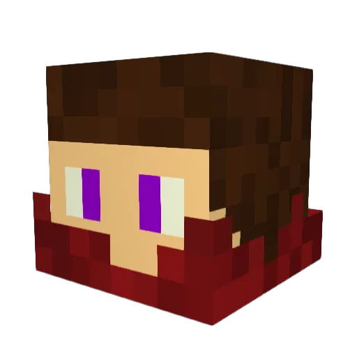 popbro1213 Minecraft avatar head, 3D render