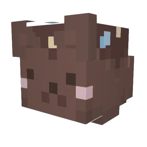 popcat41 Minecraft avatar head, 3D render