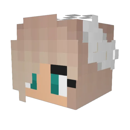 popcorn04 Minecraft avatar head, 3D render