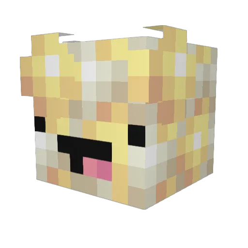 popcorn907 Minecraft avatar head, 3D render