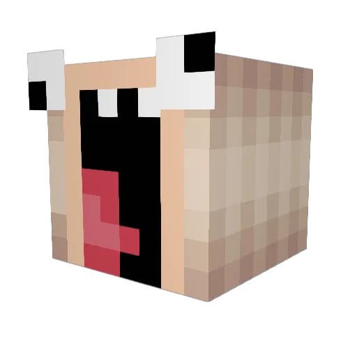 popcorn9090 Minecraft avatar head, 3D render