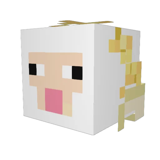 popcornsoda7 Minecraft avatar head, 3D render