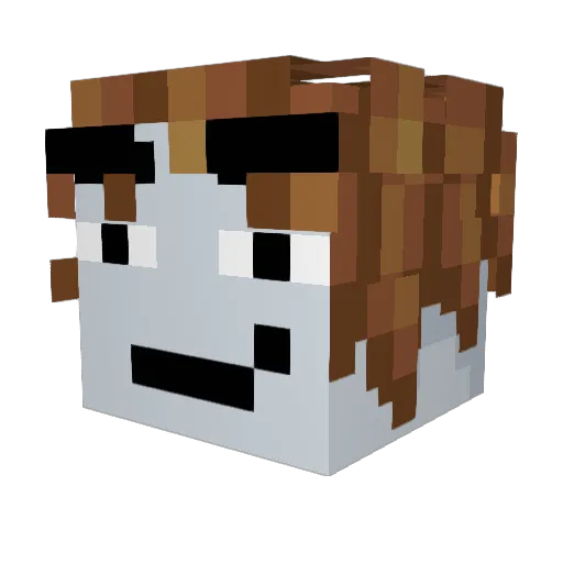 popdamolli3 Minecraft avatar head, 3D render
