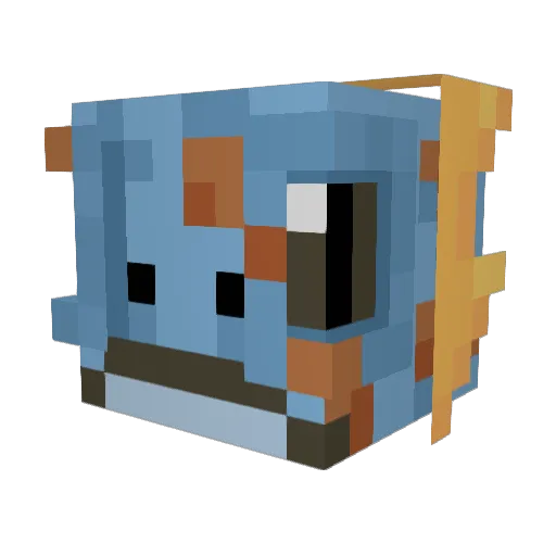 popfizz505 Minecraft avatar head, 3D render