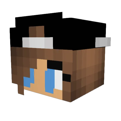 popfizzblast Minecraft avatar head, 3D render