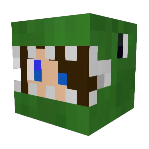 popkorn007 Minecraft avatar head, 3D render
