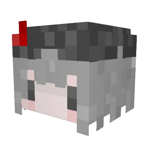 poplarOwO Minecraft avatar head, 3D render