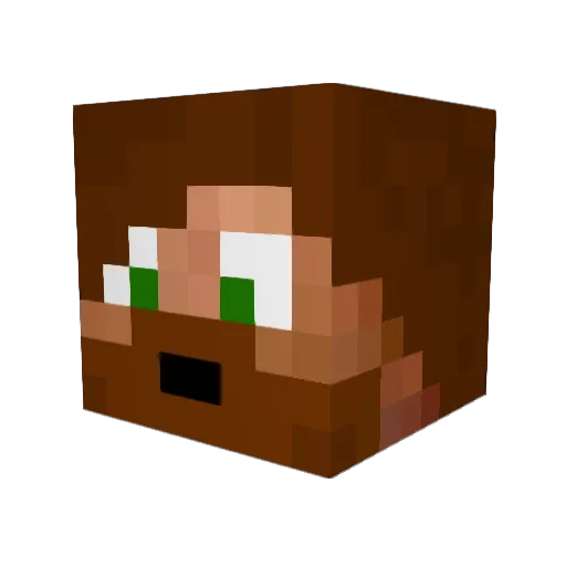 popmacaroon Minecraft avatar head, 3D render