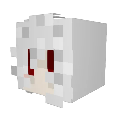popo25000 Minecraft avatar head, 3D render