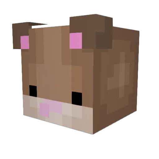 popo74 Minecraft avatar head, 3D render