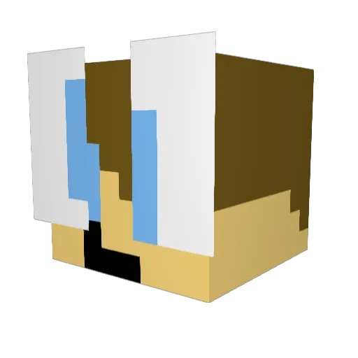 popolokko Minecraft avatar head, 3D render