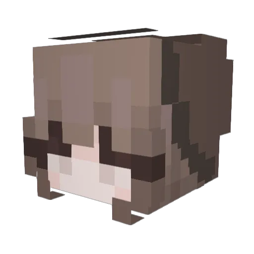 poposobad_ttv Minecraft avatar head, 3D render