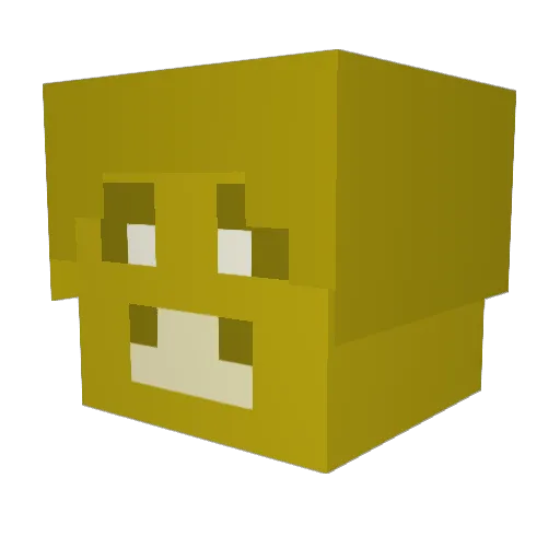 poppaberry Minecraft avatar head, 3D render