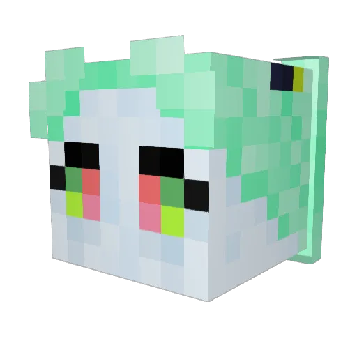 poppedbyDvx Minecraft avatar head, 3D render