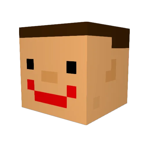 poppel220 Minecraft avatar head, 3D render