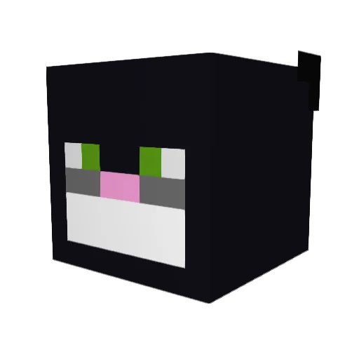 poppet609 Minecraft avatar head, 3D render