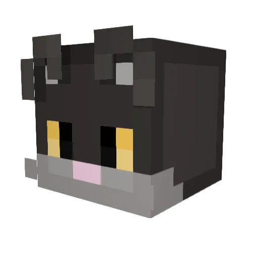 poppi_cat Minecraft avatar head, 3D render