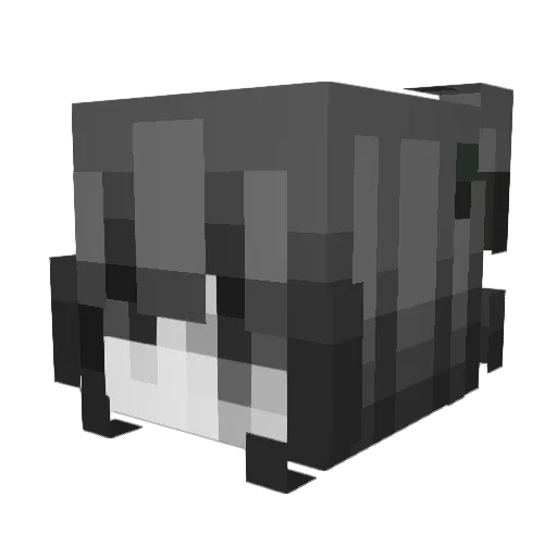 poppintramadol Minecraft avatar head, 3D render