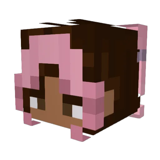 popplies Minecraft avatar head, 3D render
