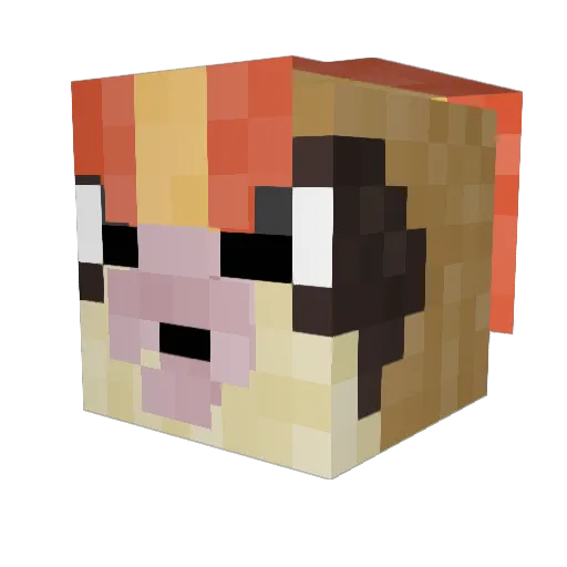 popppig Minecraft avatar head, 3D render