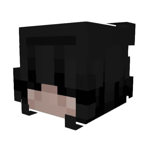 poppyah Minecraft avatar head, 3D render