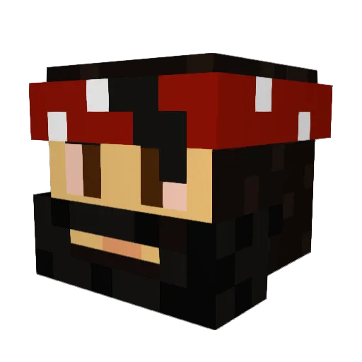 poppyfloppy Minecraft avatar head, 3D render