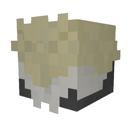 poprack Minecraft avatar head, 3D render