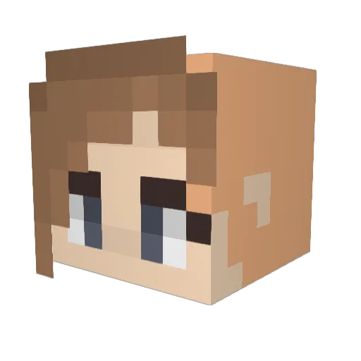 poprocks100 Minecraft avatar head, 3D render