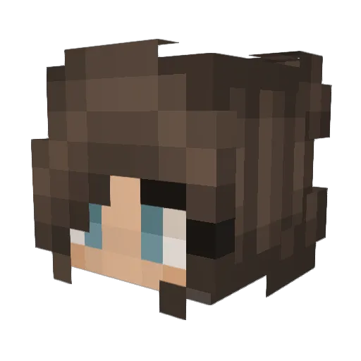 poptart10101 Minecraft avatar head, 3D render