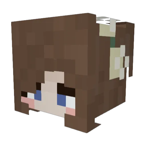 poptart720 Minecraft avatar head, 3D render