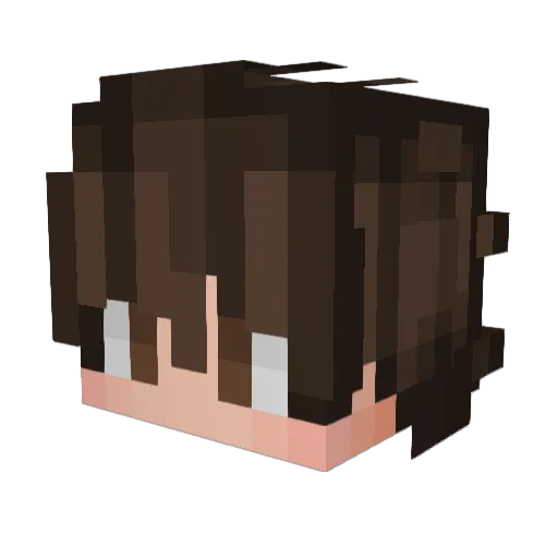 popularguygaming Minecraft avatar head, 3D render