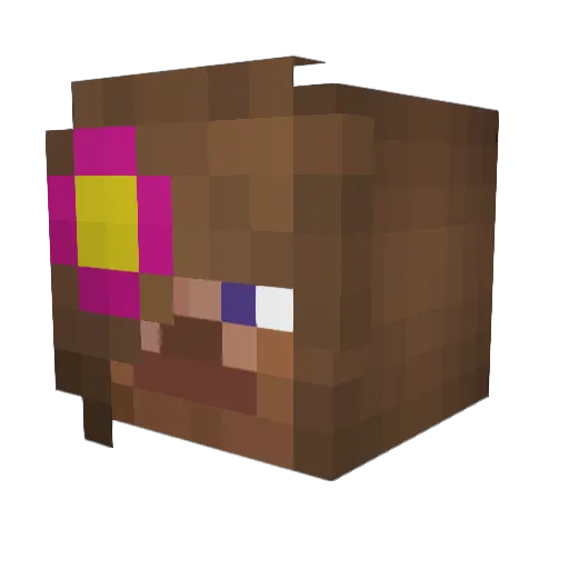 popxgaming Minecraft avatar head, 3D render