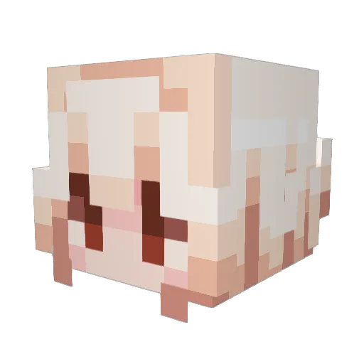 porcelainhands Minecraft avatar head, 3D render