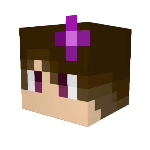 porcelainpoodle Minecraft avatar head, 3D render