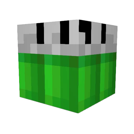 porcelet51 Minecraft avatar head, 3D render