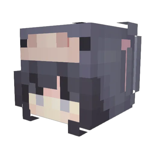 porkbun0418 Minecraft avatar head, 3D render