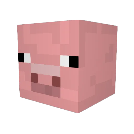porkchhop Minecraft avatar head, 3D render