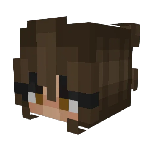 porkdiamonds Minecraft avatar head, 3D render
