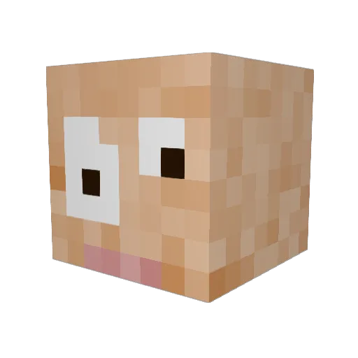 porkynuggets Minecraft avatar head, 3D render